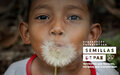 Exposición Fotográfica Semillas de Paz