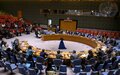 Security Council Press Statement on the situation in Colombia following the UNSC session 15 October 2024