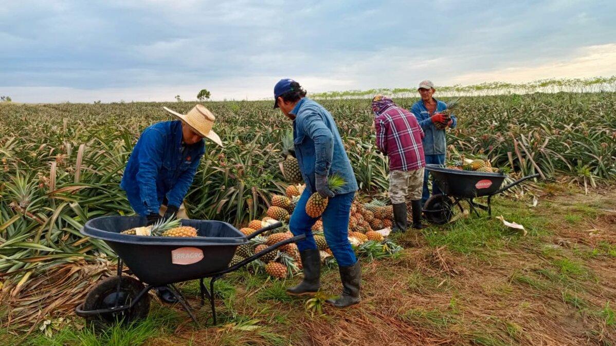 ‘El Remanso’, el predio que promete consolidar el proceso de reincorporación de firmantes en Meta
