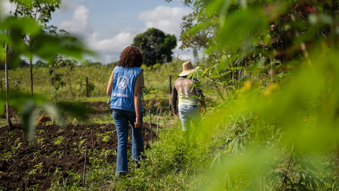 Rostros del Acuerdo Guaviare 1