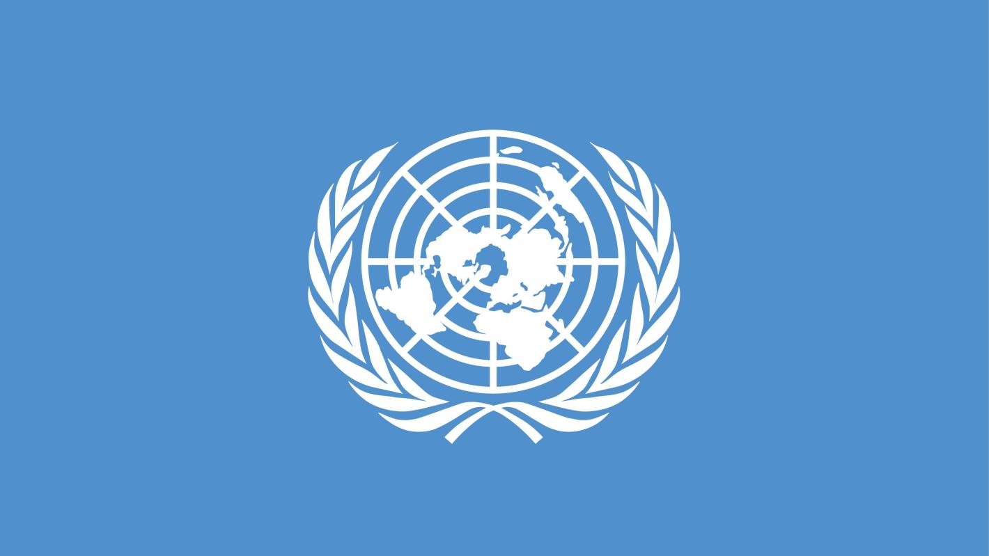 UN flag article