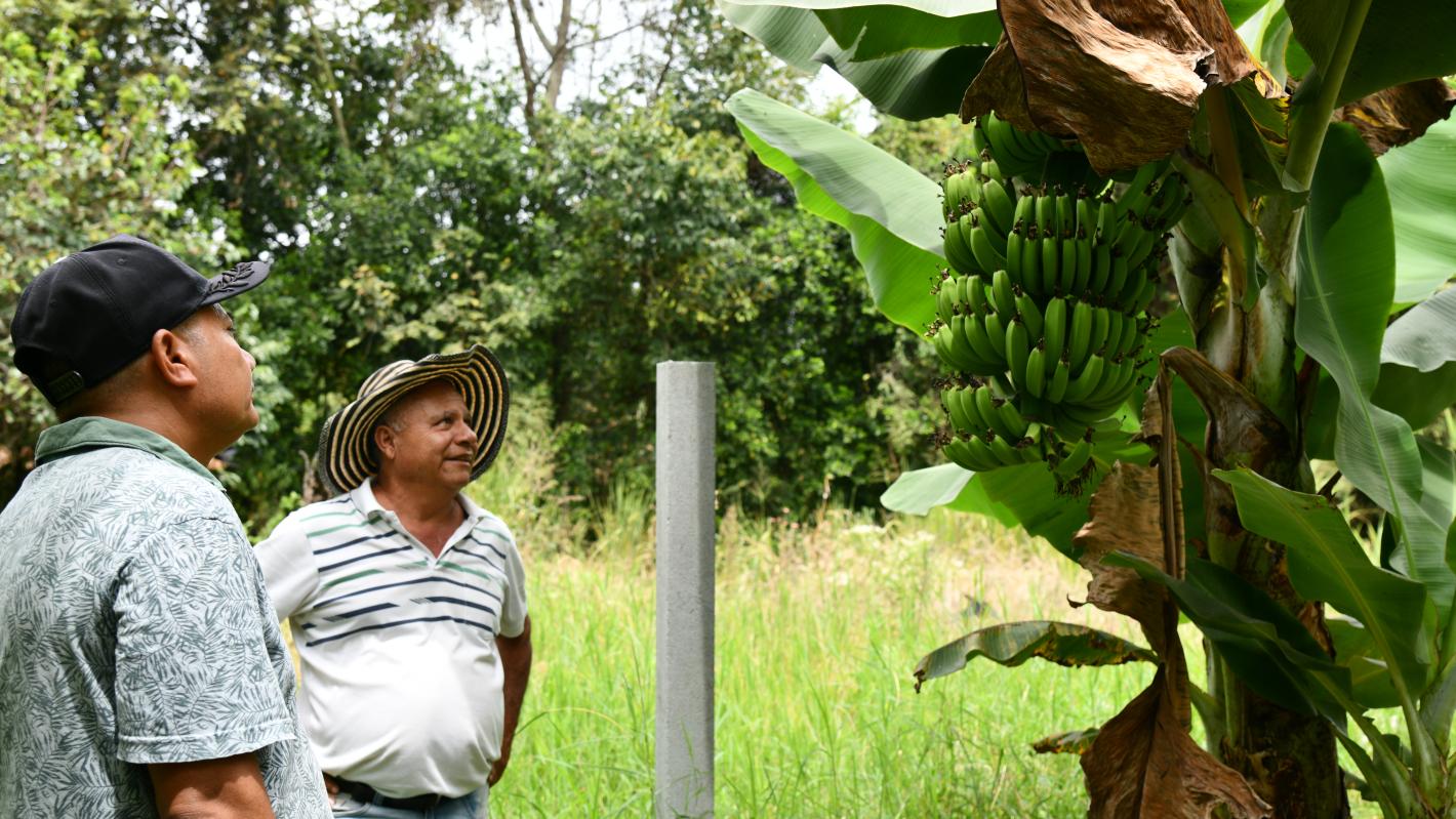 Guacarí, Valle del Cauca