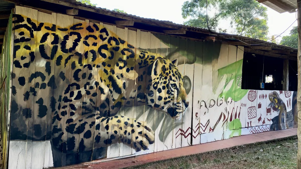 Arte Guaviare