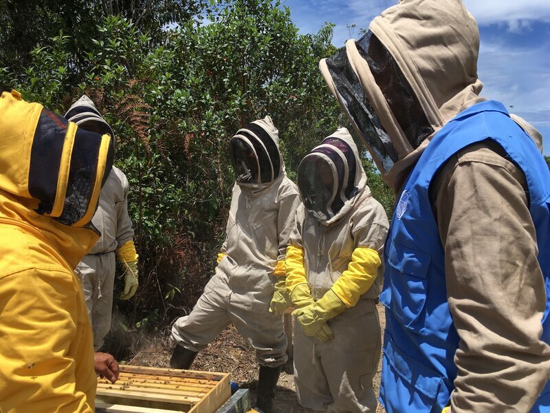 'Mountain Honey,' a contribution to peace. | UN Verification Mission in ...