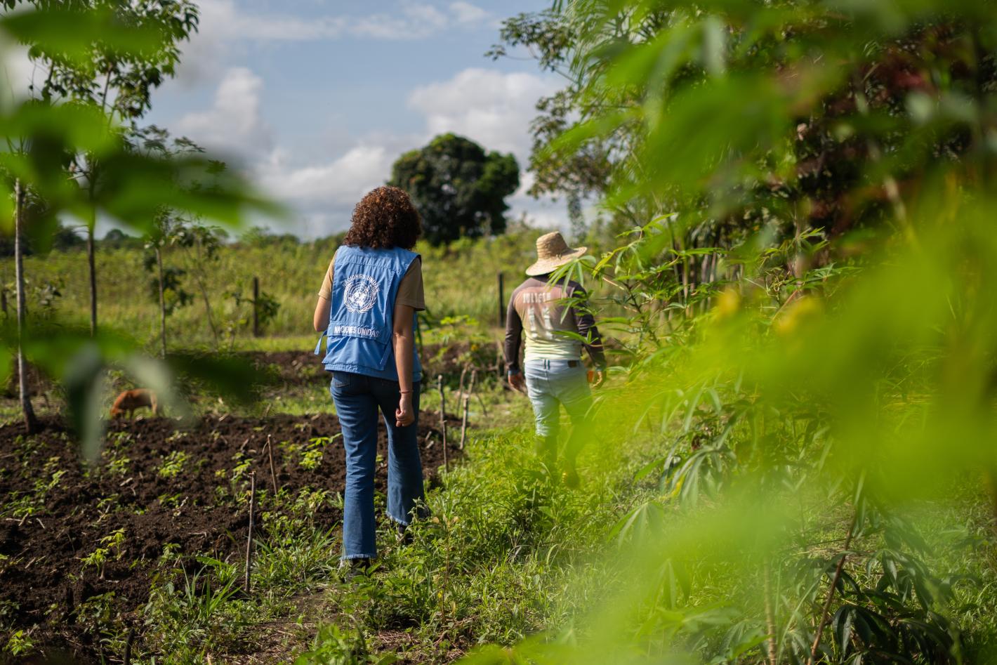 Rostros del Acuerdo Guaviare 1