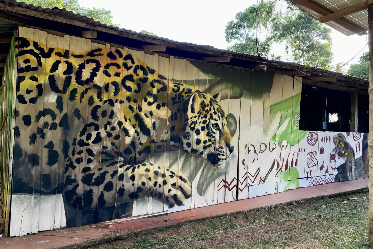 Arte Guaviare