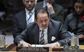 Statement to the Security Council by Carlos Ruiz Massieu, Head of the United Nations Verification Mission in Colombia