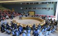 Comunicado de Prensa del Consejo de Seguridad sobre Colombia