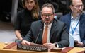 Briefing by Carlos Ruiz Massieu, Special Representative of the Secretary-General and Head of the UN Verification Mission in Colombia Security Council Meeting