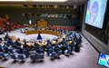  Comunicado de Prensa del Consejo de Seguridad de las Naciones Unidas sobre Colombia