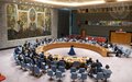 Comunicado de Prensa del Consejo de Seguridad  de las Naciones Unidas sobre Colombia
