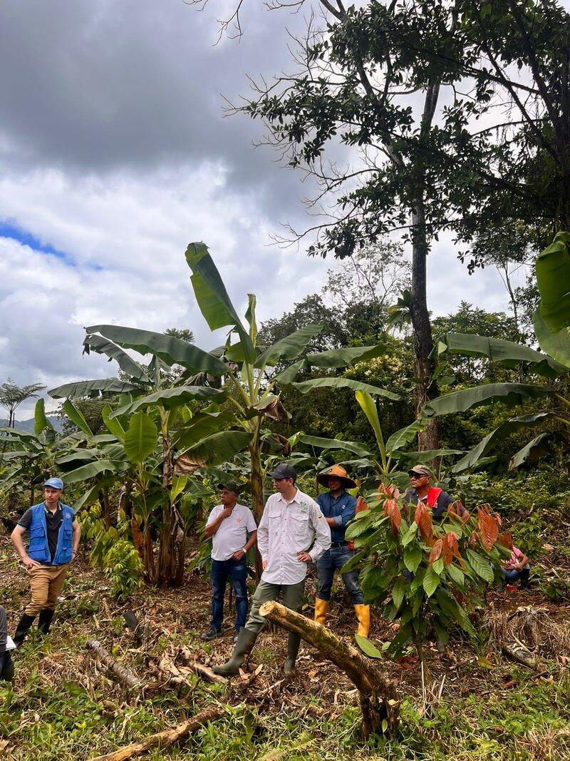 La paz se construye desde los territorios: Taparales, un laboratorio de reconciliación en Antioquia