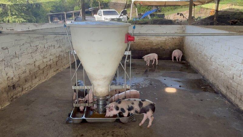 Firmantes de Paz y comunidades de El Patía, Cauca, le apuestan a modelo productivo en armonía con la naturaleza