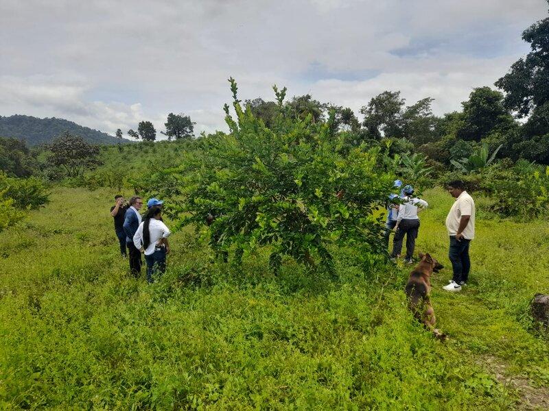Visita de la Misión de Verificación de la ONU en Colombia a predio Taparales en febrero de 2025 con UNODC, Proantioquia y firmantes de Paz. Taparales: apuesta del sector privado para la paz