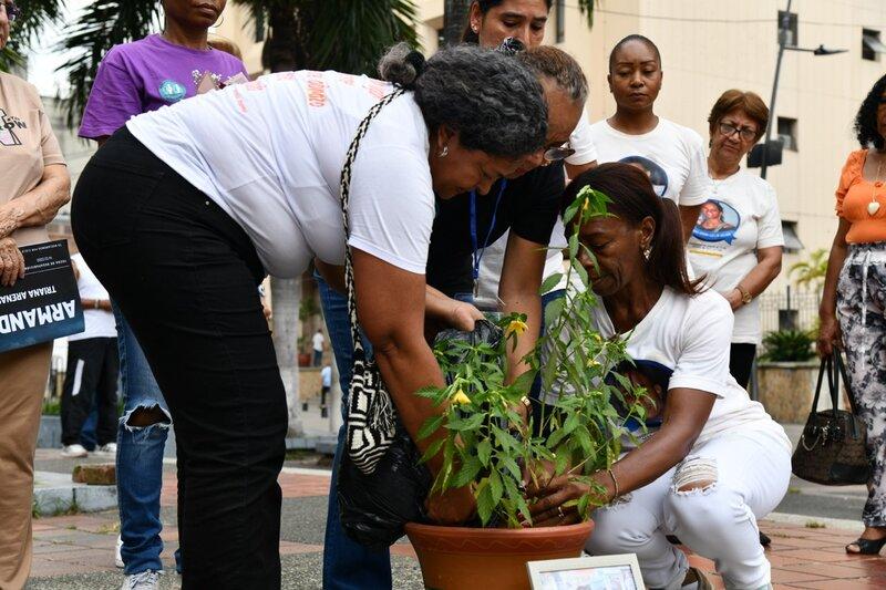 cementerio palmira 3
