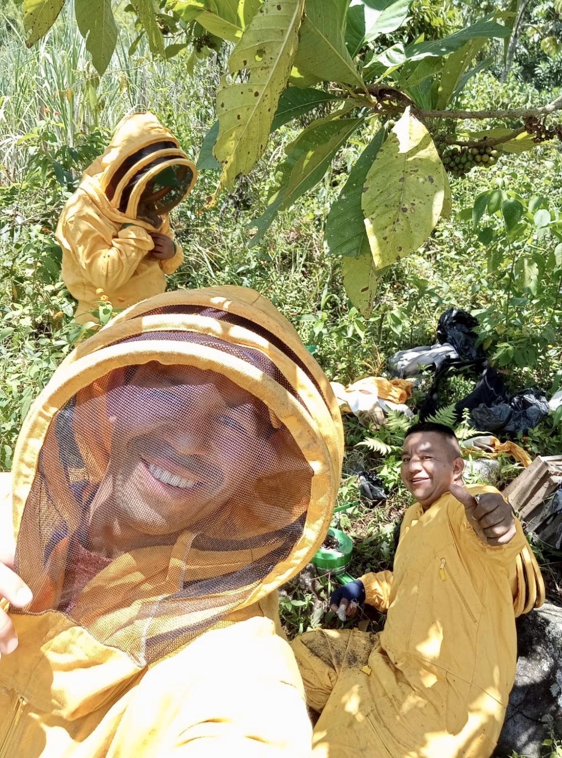 Profesionales de la Paz