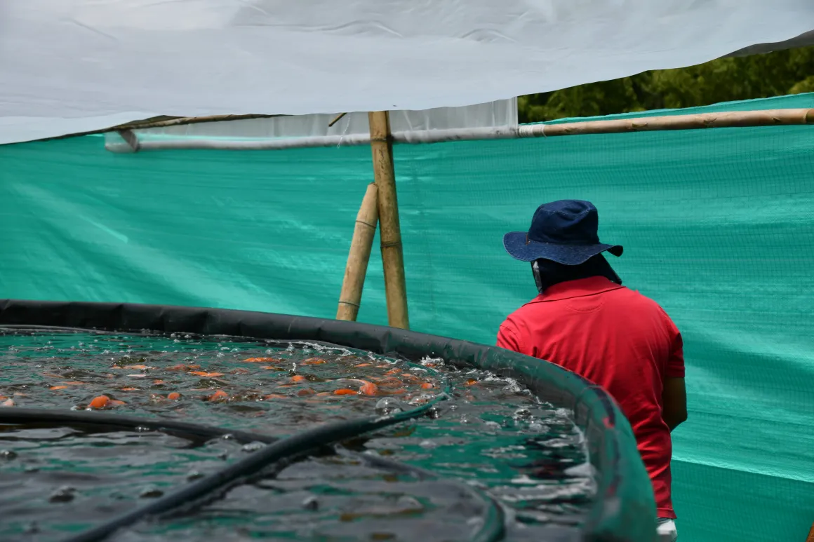 finca agroecológica El Astro 