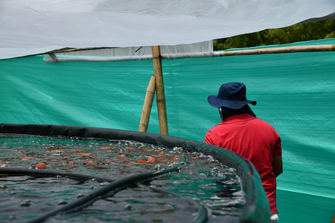 finca agroecológica El Astro 