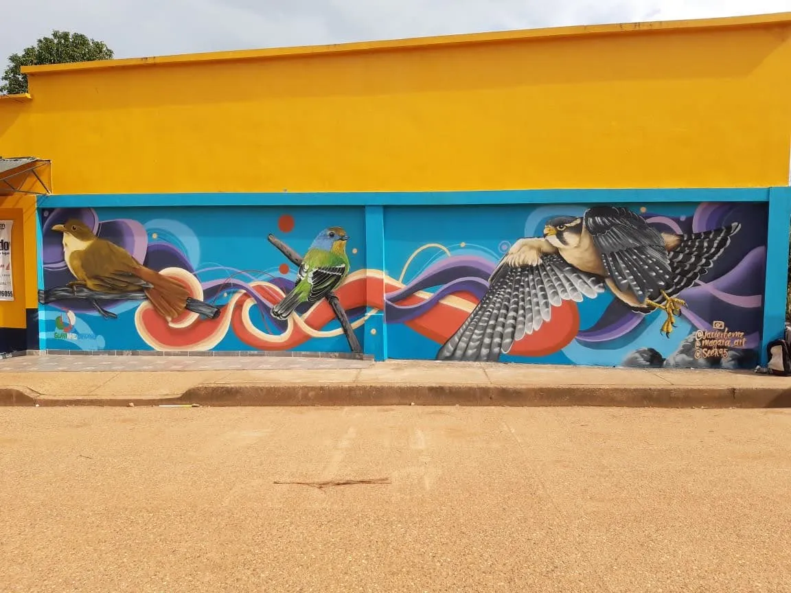 Artistas Guaviare