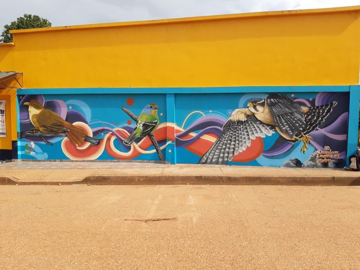 Artistas Guaviare