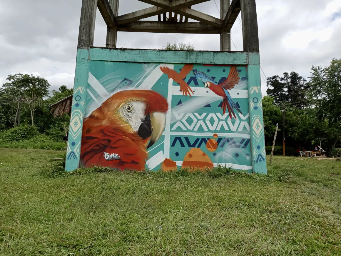 Arte Guaviare