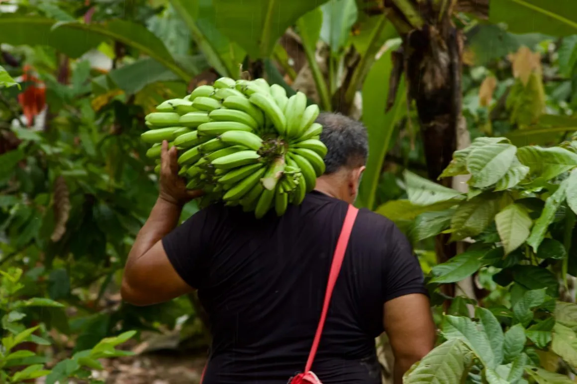 Santa Cecilia, Risaralda, Diego Duque 